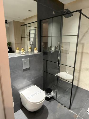 a bathroom with a toilet and a glass wall at Apartament Aleja Wolności in Nowy Sącz