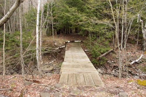 a wooden bridge in the middle of a forest at 1894 Catskills Farmhouse Retreat in Tannersville