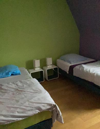 deux lits dans une chambre aux murs verts dans l'établissement Le chardon lorrain, à Nancy
