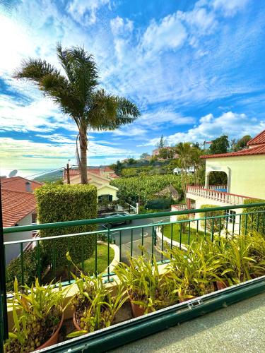 a balcony with plants and a palm tree at The Sun Edge House in Ponta do Sol