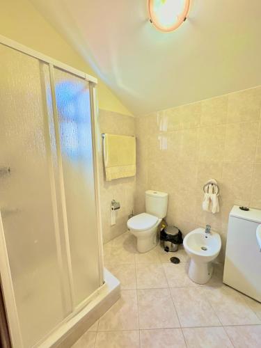 a bathroom with a shower and a toilet and a sink at The Sun Edge House in Ponta do Sol