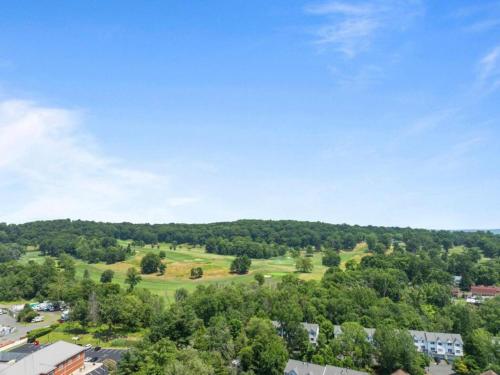 an aerial view of a park with trees and houses at The Luxe Nook, Premier Studio in Scenic Congers in Congers
