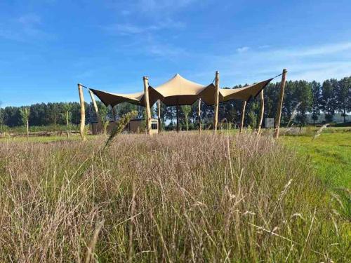 Zahrada ubytování De Fazant - Tiny House in de Zeeuwse Natuur