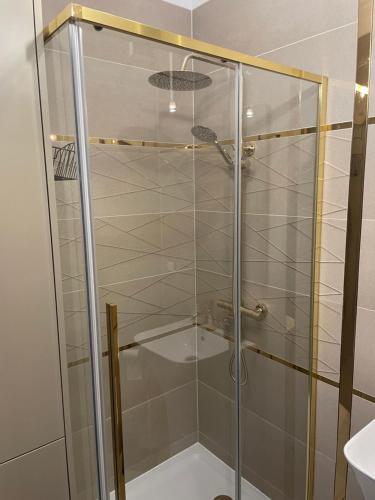 a shower with a glass door in a bathroom at Golden MOOD City Apartment in Wrocław