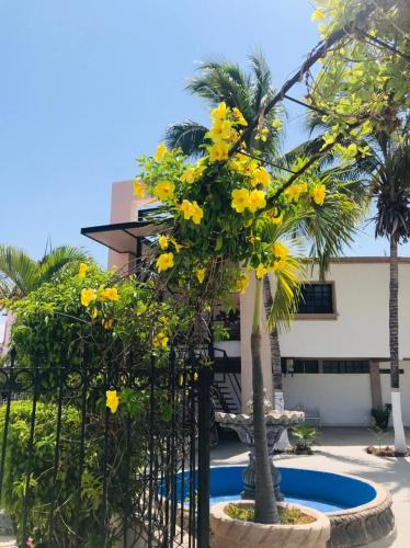 a tree with yellow flowers in front of a fence at Hotel Marina Topolobampo in Topolobampo