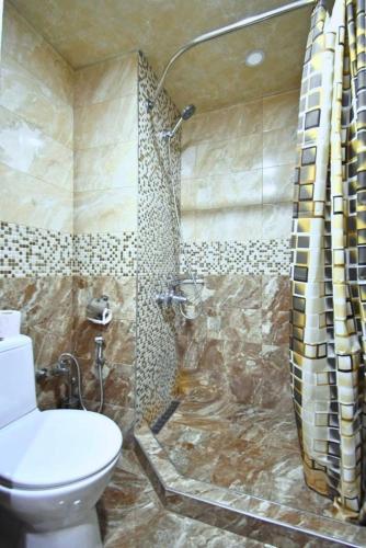 a bathroom with a toilet and a shower at Awesome Brilliant Apartment in City Center with 2 bedrooms in Yerevan