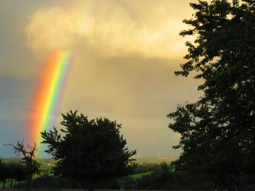 a rainbow in a cloudy sky with trees at Hotel - Restaurant De 4 Jaargetijden in Epen