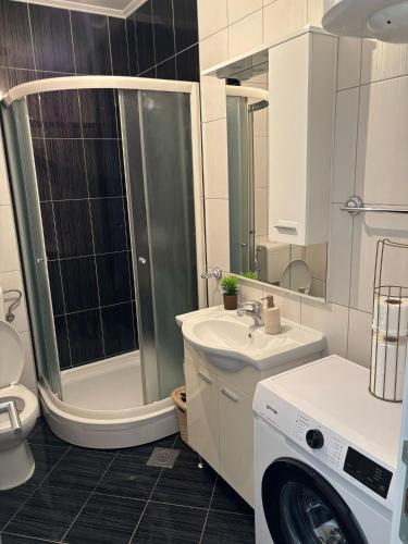 a bathroom with a shower sink and a washing machine at N&N Apartment in Čapljina