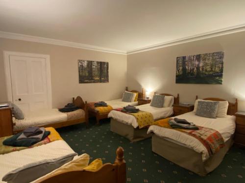 a hotel room with four beds in a room at Forse of Nature in Latheron