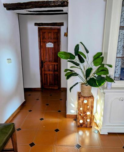 a plant sitting on a table in a hallway with a door at Casa Rural hasta 14 personas Alpujarra Granadina, La Almazara in Mecina Fondales