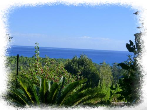 Φυσικό τοπίο κοντά σε αυτό το διαμέρισμα