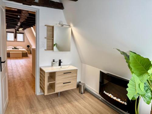 La salle de bains est pourvue d'un lavabo et d'une cheminée. dans l'établissement Le Secret D'Auron - Wifi - Hyper-Centre, à Bourges
