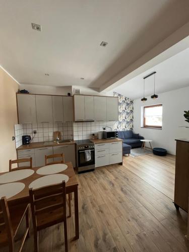 Kuchyň nebo kuchyňský kout v ubytování Luksusowy przestronny apartament