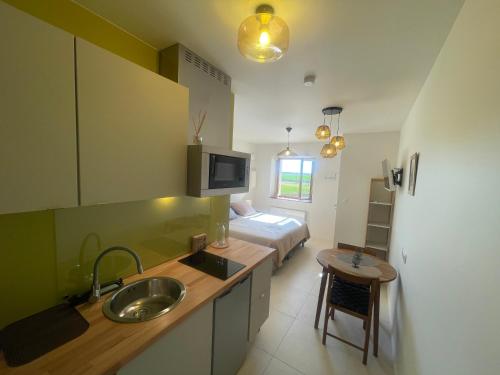 - une cuisine avec évier et un lit dans une chambre dans l'établissement Les Pièces du Moulin, à Angliers