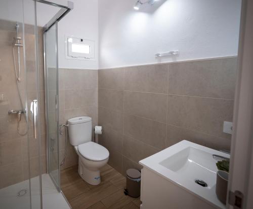 a bathroom with a toilet and a shower and a sink at Casa volcánica El Cabezo in Masdache