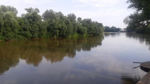 Gallery image of Vila Morava in Jagodina