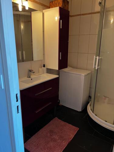 une salle de bain avec un lavabo, des toilettes et une douche dans l'établissement Appartement vue sur mer et montagne, à Perpignan