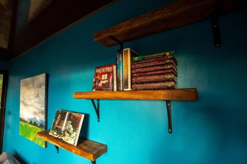 a group of books on a blue wall at Monor Loft in Miravalles