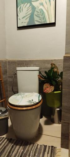 a bathroom with a toilet and a potted plant at Chambre d'hôtes avec piscine petit déjeuner offert in Bora Bora