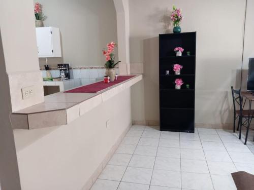 a kitchen with a counter with pink flowers on it at Confortable Apartamento Tegucigalpa in Tegucigalpa