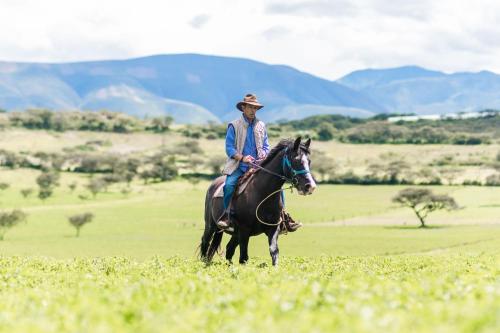 a man riding a horse in a field at Hacienda San Francisco in Tumbabiro
