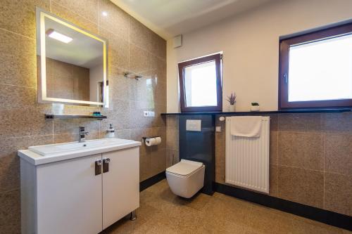 a bathroom with a toilet and a sink and a window at Willowa 21 in Wisła
