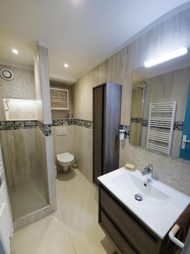 une salle de bain avec un lavabo, une douche et des toilettes dans l'établissement Superb renovated T2 beach 200m sea view terrace, à Rayol-Canadel-sur-Mer