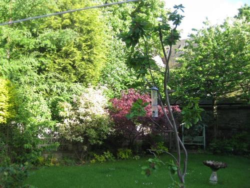 a garden with trees and flowers in a yard at Newhall in Glasgow