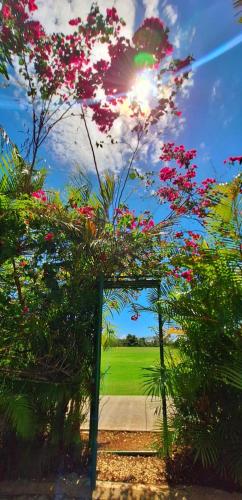 Jardín al aire libre en 9th hole Villa