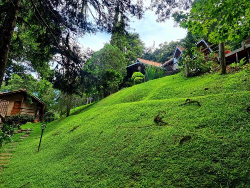 a green hill with twoizards on the grass at Pássaro de Fogo in Santo Antônio do Pinhal