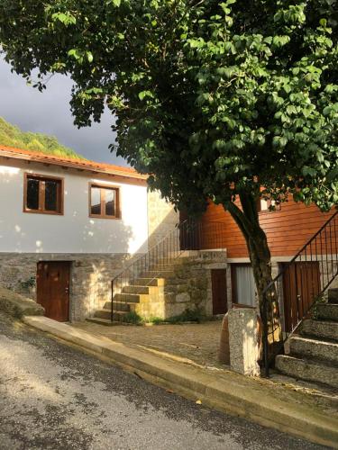 a house with stairs and a tree in front of it at Casa das Fragas in Celorico de Basto
