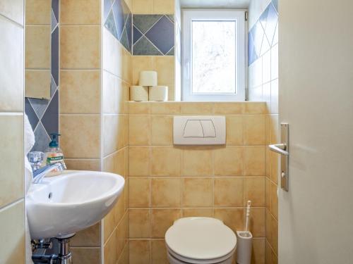 a bathroom with a toilet and a sink at Bergzeit Fieberbrunn 1 in Hütte