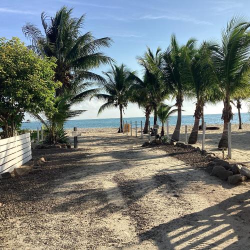 a sandy beach with palm trees and the ocean at Paradise Inn Placencia in Placencia Village