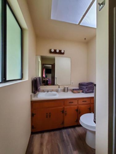 a bathroom with a sink and a toilet and a mirror at ʻOhiʻa Lehua Forest House in Volcano