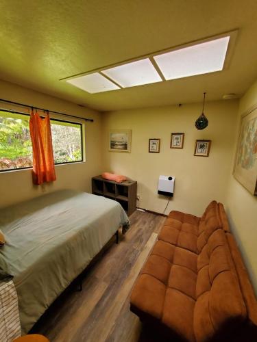 a bedroom with a bed and a couch in it at ʻOhiʻa Lehua Forest House in Volcano