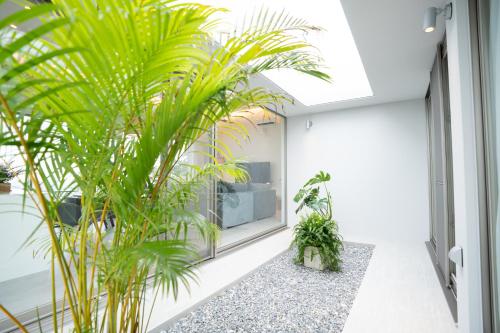 an indoor courtyard with plants in a building at Tamagusuku Terrace in Nanjo