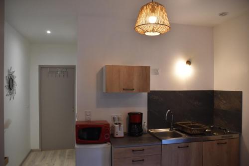 une cuisine avec un évier et un plan de travail dans l'établissement Appartement des Georges du Tarn, à Compeyre