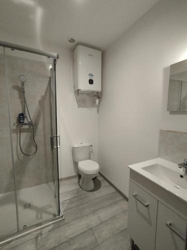 une salle de bain avec une douche, des toilettes et un lavabo dans l'établissement Appartement des Georges du Tarn, à Compeyre