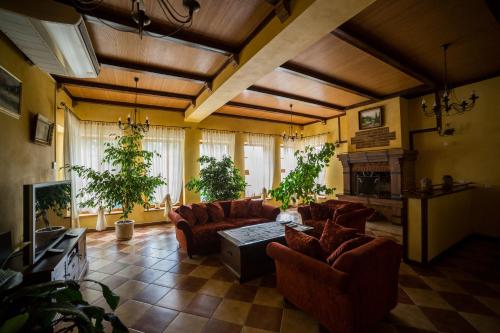 a large living room with couches and a fireplace at Gnizdo Golubky in Shaian
