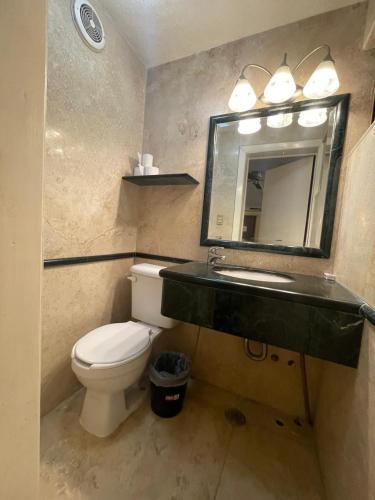 a bathroom with a sink and a toilet and a mirror at MariaCristina in San Luis Potosí