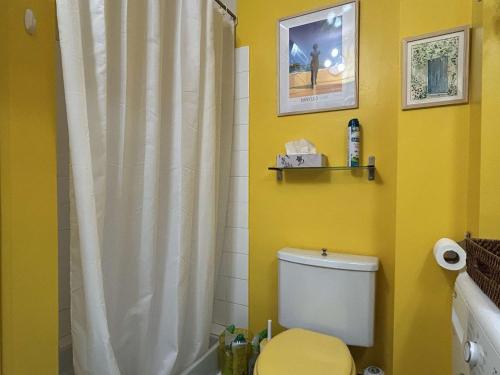 La salle de bains est pourvue d'un rideau de douche blanc et de toilettes. dans l'établissement Studio à Banyuls-sur-Mer avec climatisation - FR-1-225C-159, à Banyuls-sur-Mer