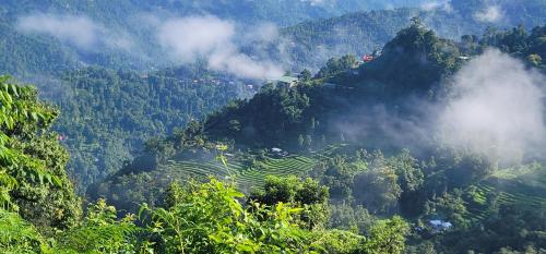 a view of a mountain with trees and clouds at Miknaon Farmstay in Pedong