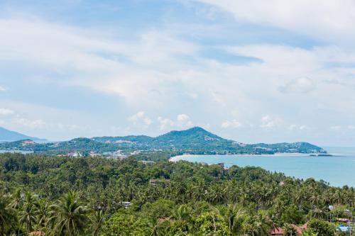 Naturlandskabet i nærheden af villaen