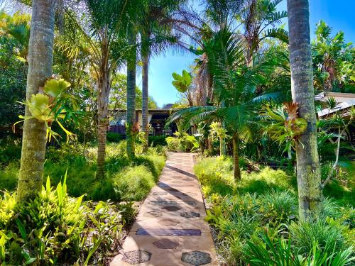 a path through a garden with palm trees at Lidiko Lodge in St Lucia