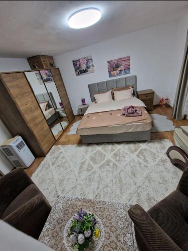 a large bedroom with a bed and a couch at Garden Spa Retezat in Fizeşti