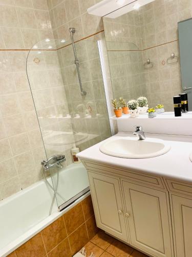 une salle de bain avec un lavabo et une douche dans l'établissement Ajaccio sanguinaires F3, à Ajaccio