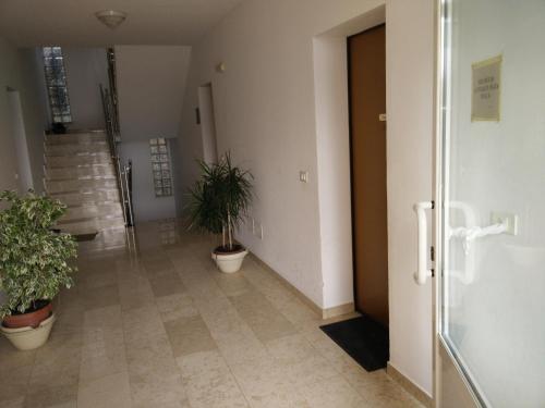 a hallway with potted plants and stairs in a building at Apartment Mihaela in Rovinj