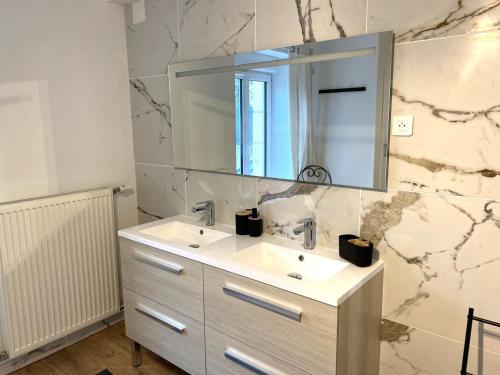 ein Badezimmer mit Waschbecken und Spiegel in der Unterkunft Une histoire de famille in Écordal