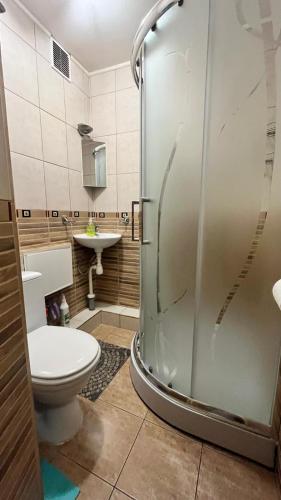 a bathroom with a shower with a toilet and a sink at Saules 73 in Daugavpils
