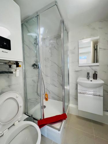 une salle de bain avec une douche, des toilettes et un lavabo dans l'établissement Rosny Sous Bois très charmant l'appartement en plein centre ville et verdure, à Rosny-sous-Bois